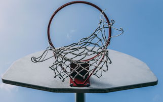 LeyuSports-中国篮球联赛球队战术体系动态优化及实战分析，篮球队战术图