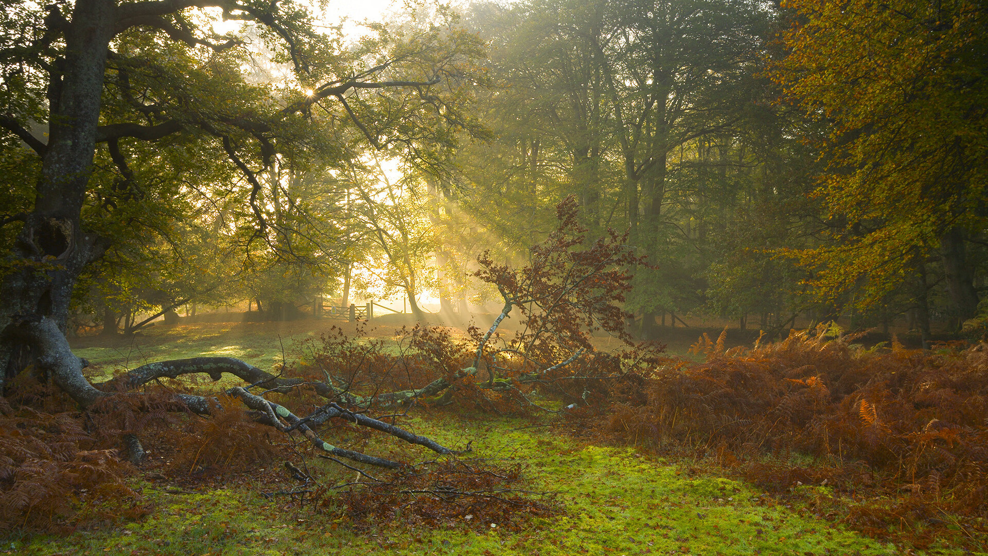 leyu.com-“成都三叉湖滚球赛：力量与技巧的完美融合”