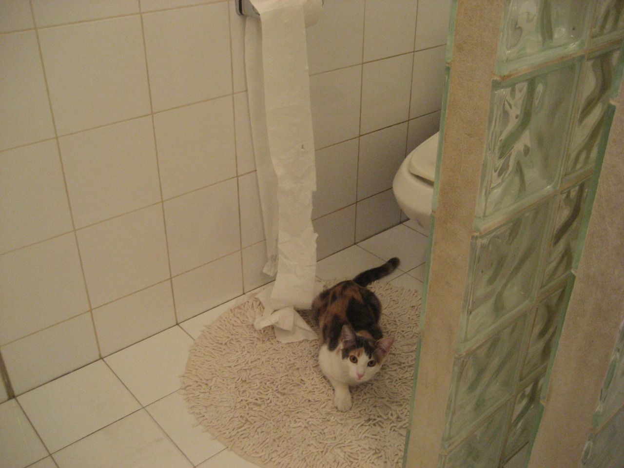 乐鱼官网-中国羽毛球队冬训全面加强技战术转换能力，羽毛球冬训的重要性