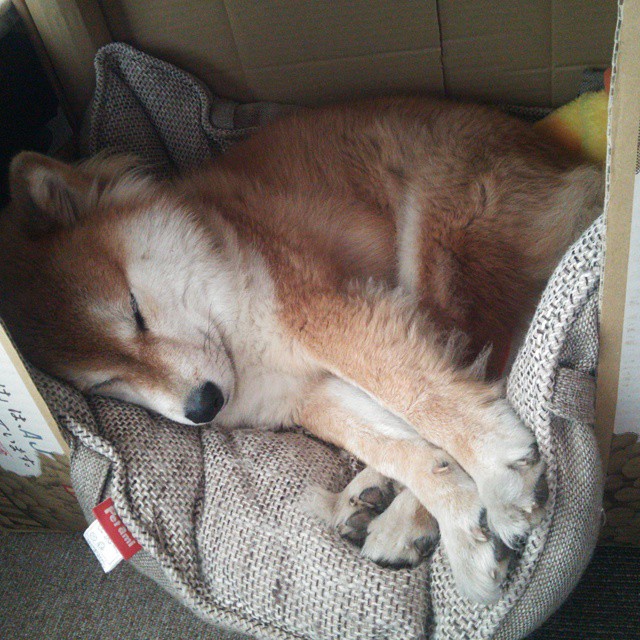 亚冠赛场中日韩球队上演焦点之战,中日韩足球