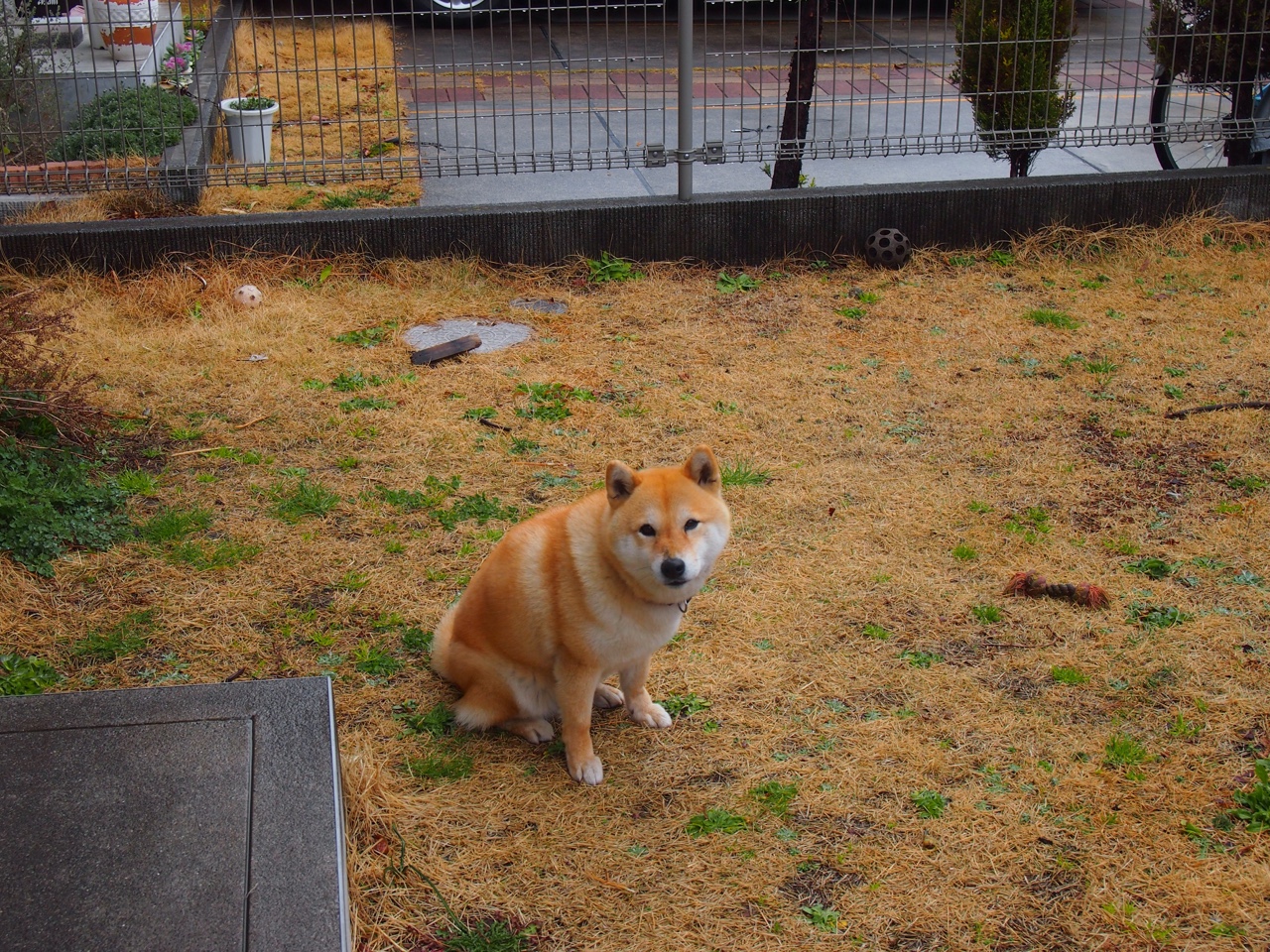 万乐天决赛发挥成大赢家,万乐天 游泳