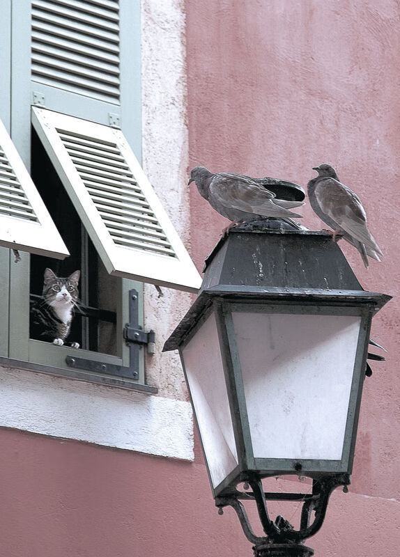 中国女排一战封神震惊全场女排世界杯,中国女排第一局比分