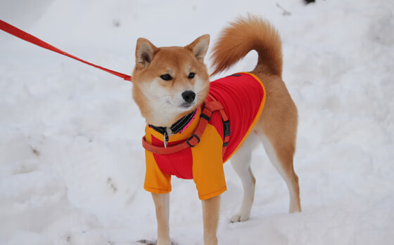 中国足球职业俱乐部设立球员阅读学习空间,足球俱乐部及球员