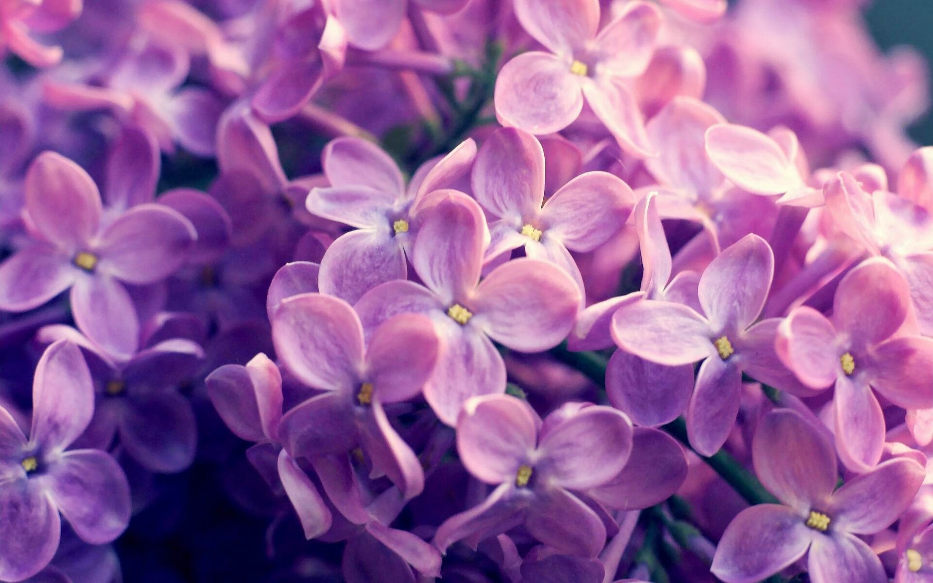 Leyu Sport登录入口-中国足球青少年足球文化推广力度加大，中国青少年足球发展计划