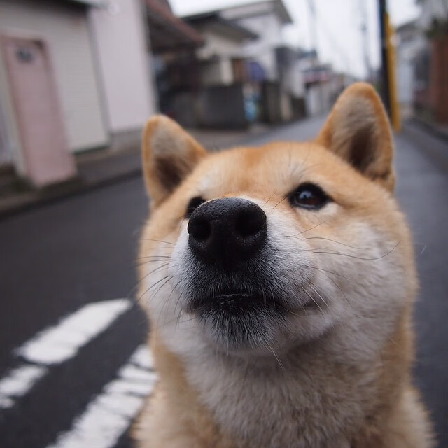 Leyu Sport登录入口-公牛训练结束后组织战术问答考验球员理解，公牛教练组