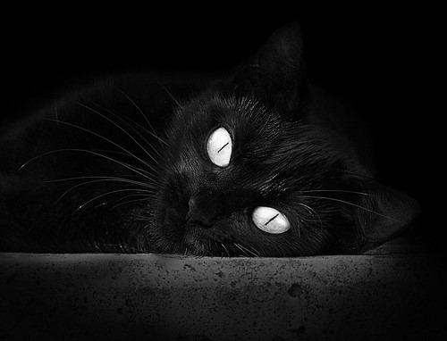 新兴国家崛起,橄榄球版图扩展,橄榄球的发展