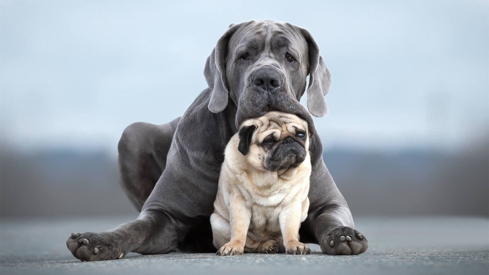欧洲杯战术调整:变化多端,令人期待!,欧洲杯各个球队技战术打法