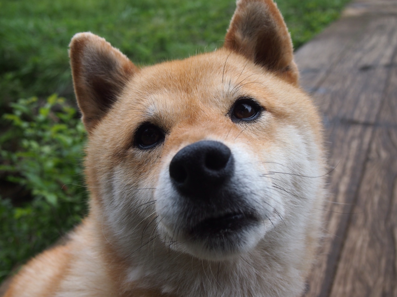 火箭公布赛季日程强调关键对决场次,火箭队比赛赛程季后赛